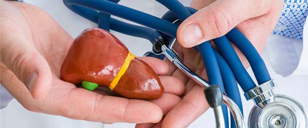 БАДы для поддержания функции печени 4